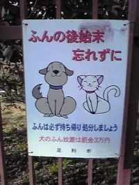 Image061.webp