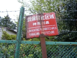 0604230020A.webp