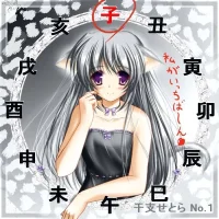 t09rat.webp