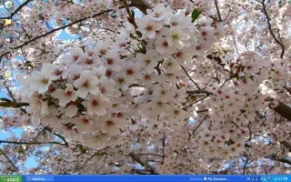 desktop-640.webp