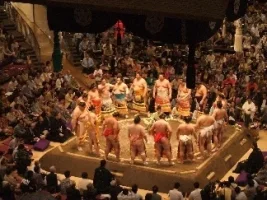 sumo.webp
