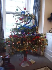 treeday-1.webp