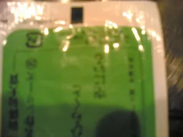 08032010(006).webp