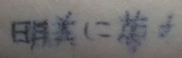 IMGP2772.webp