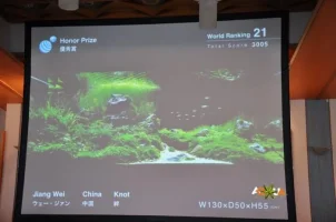 0_50356_3c3e1fd_XXL.webp