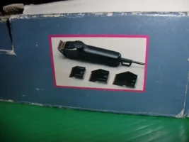 CIMG5431.webp