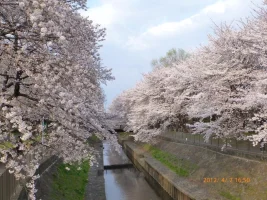 P1030033.webp