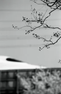 ShinkansenHigashiyama(2).webp