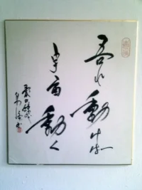 IMAG0694.webp