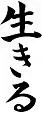 translate.webp