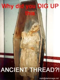 9053d1184026291-rise-lich-king-old_thread.webp