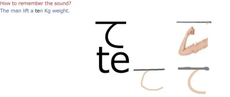 te.webp