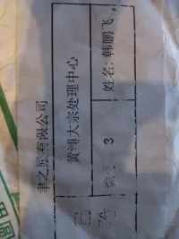 WP_000288.webp