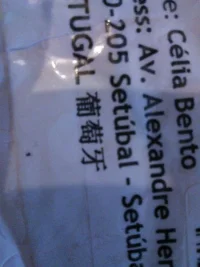 WP_000292.webp