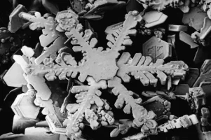 800px-Snowflake_magnified_usda.webp