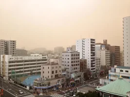 yellow_sand.webp