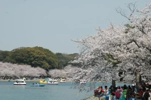 20080406-sinitirou.webp