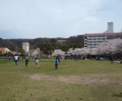 P4155489.webp