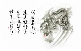 dragon clean reswm.webp