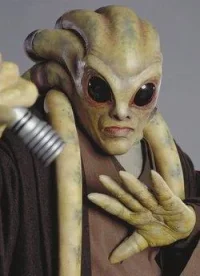 kit_fisto-1.webp kit_fisto-1.webp