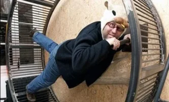 wheel.webp