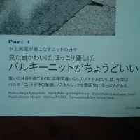 japanese 2.webp