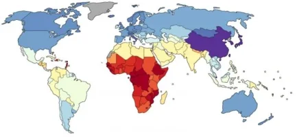 National_IQ_Lynn_Vanhanen_2006_IQ_and_Global_Inequality.webp