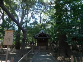 20090217-02134.webp