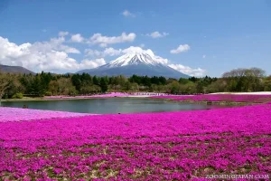 golden-week-2013_16.webp