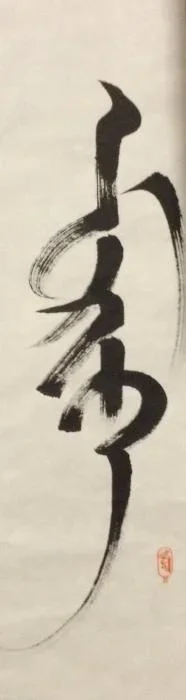 image.webp