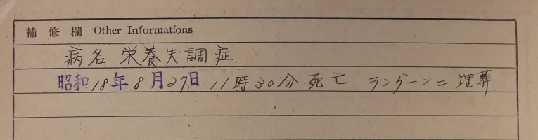 12.webp