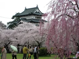 hirosaki-03may2007.webp hirosaki-03may2007.webp