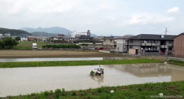 20140608_121529.webp