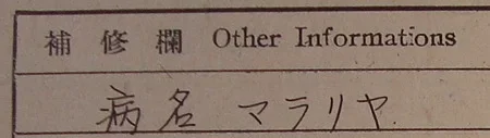 34.webp