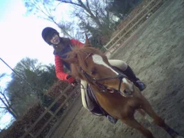 SP_A1598png-1.webp