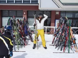 2332615574_162e9cab1f-1.webp