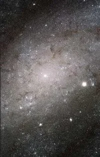GalaxyNGC300-1.webp