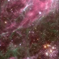 TheHodge301cluster-1.webp