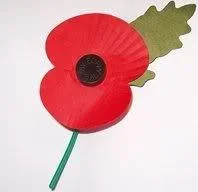 Poppy-1.webp