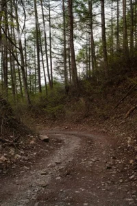 4611130369_8f5240361d_b-1.webp