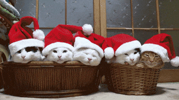 200.gif 200.gif