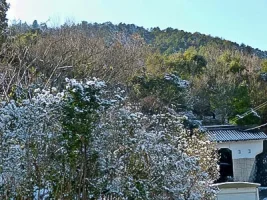 yagi-castle-kyoto-01.webp