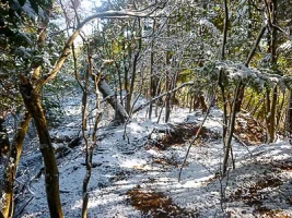 yagi-castle-kyoto-06.webp