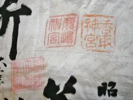 i-img640x480-1638114228zsgjxm261678.webp