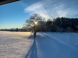 snowy-morning.webp