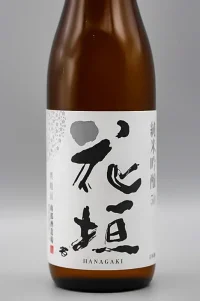 nambu-hanagaki-2021-02.webp