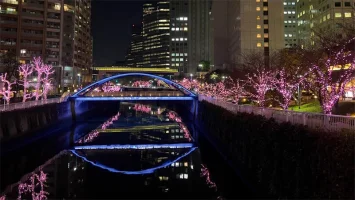 Meguro River Illumination