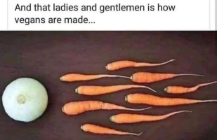 vagen.jpg