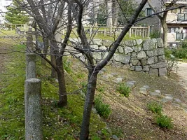 yodo-castle-08.webp