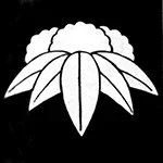 nomi-matsudaira.webp